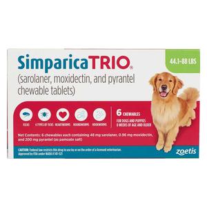 Dog Rx